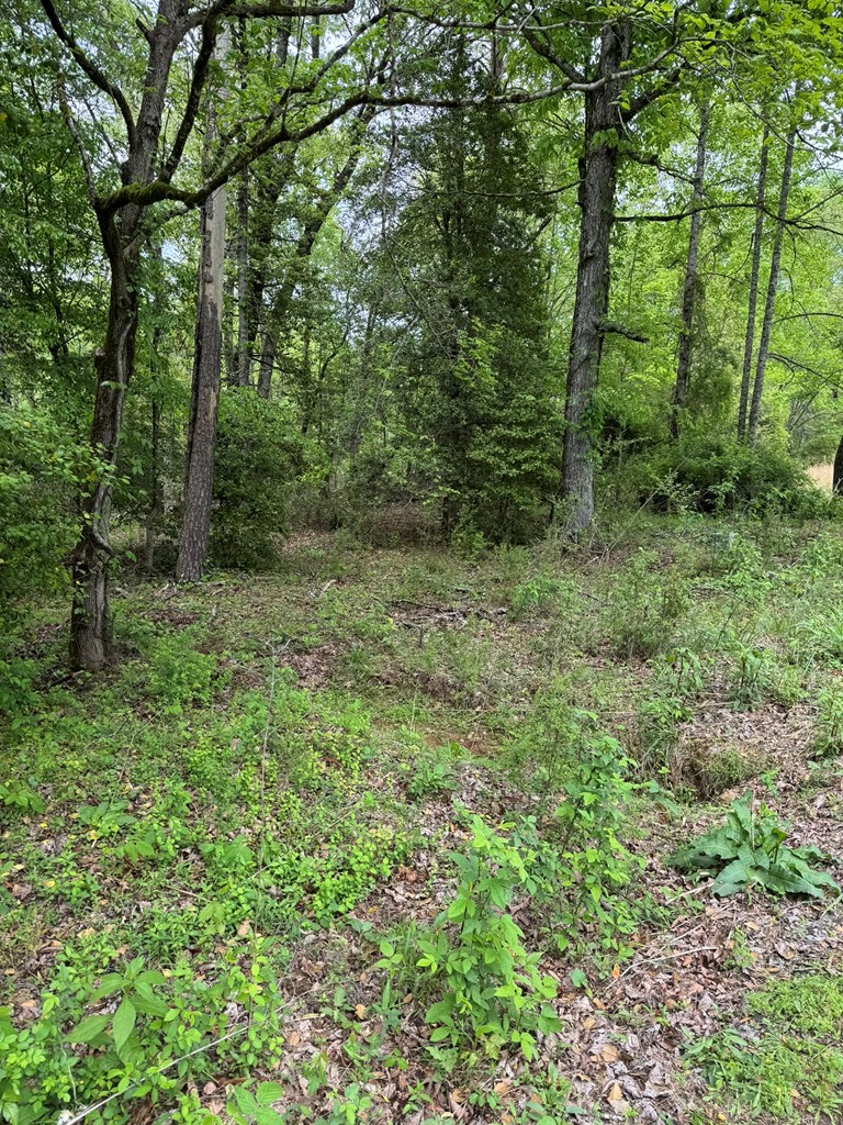 25 Holly Point Drive