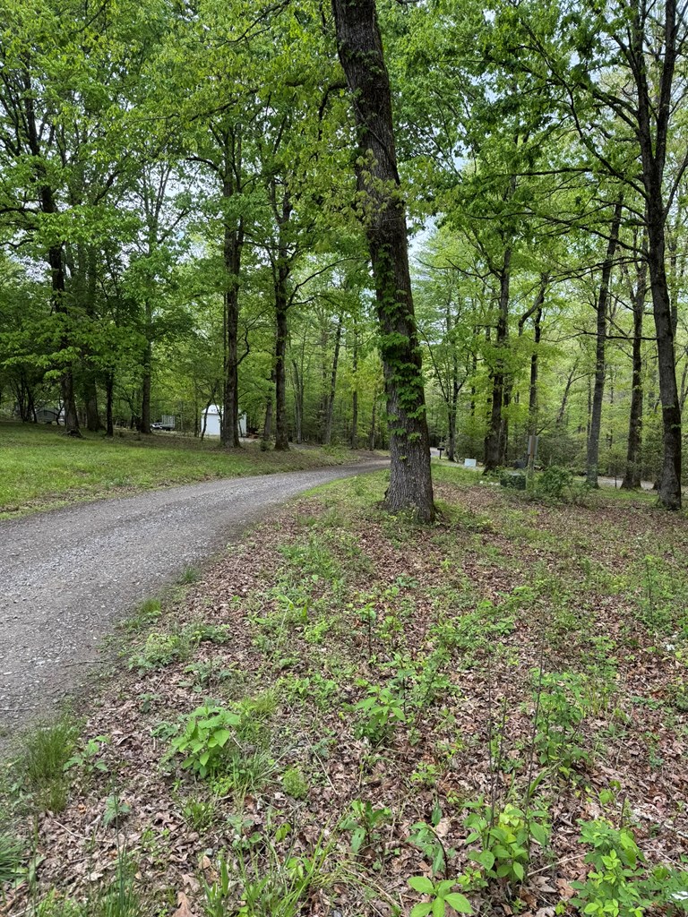 25 Holly Point Drive