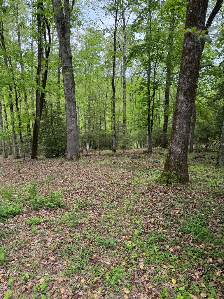 25 Holly Point Drive