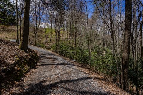 A home in Blue Ridge