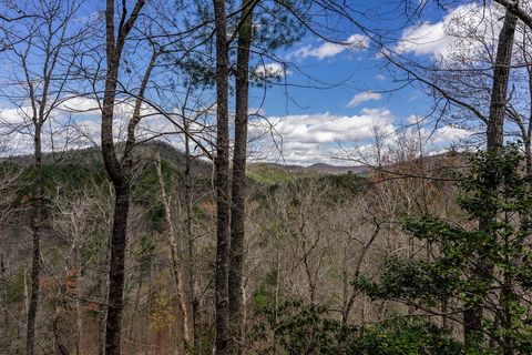 A home in Blue Ridge