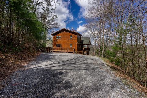 A home in Blue Ridge