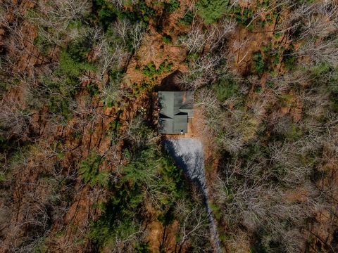 A home in Blue Ridge