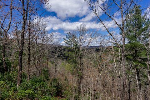 A home in Blue Ridge