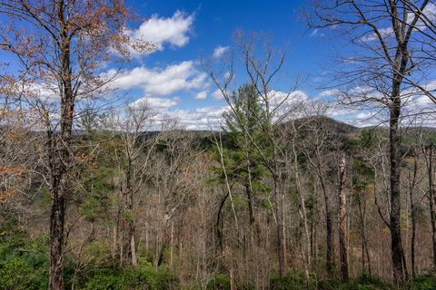 A home in Blue Ridge