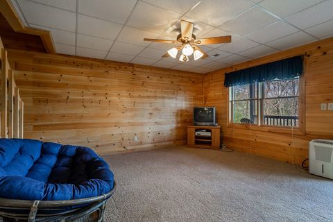 A home in Blue Ridge