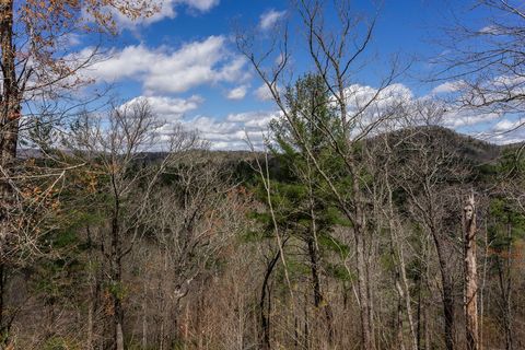 A home in Blue Ridge