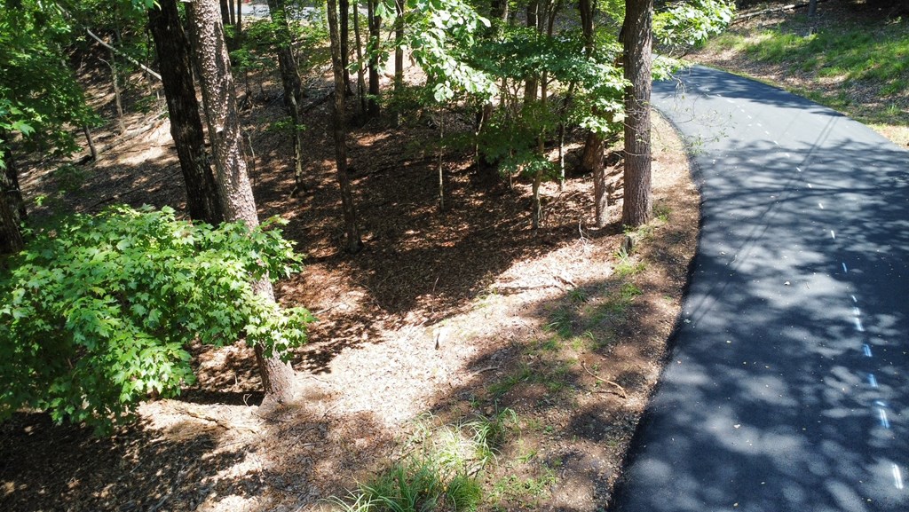 1481 Briar Vista