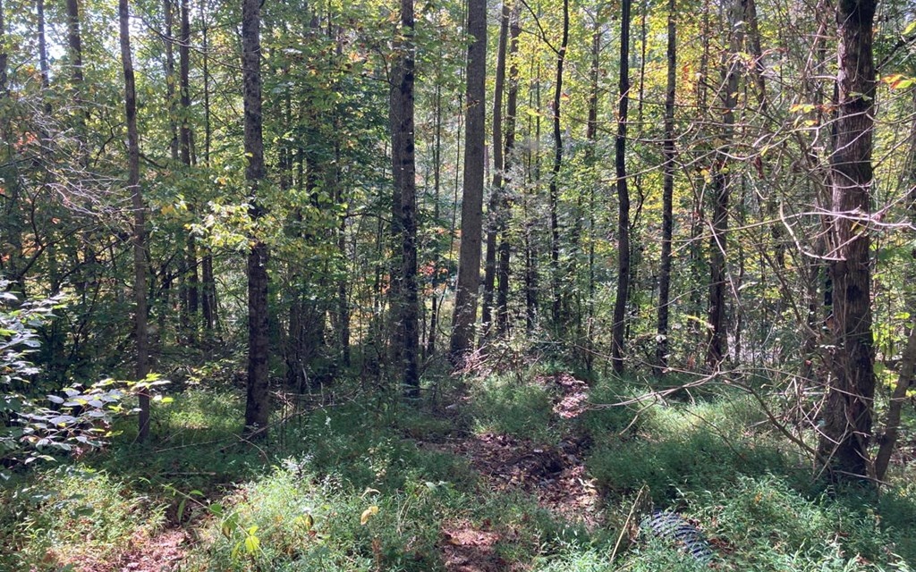 11 Mountain View Trail