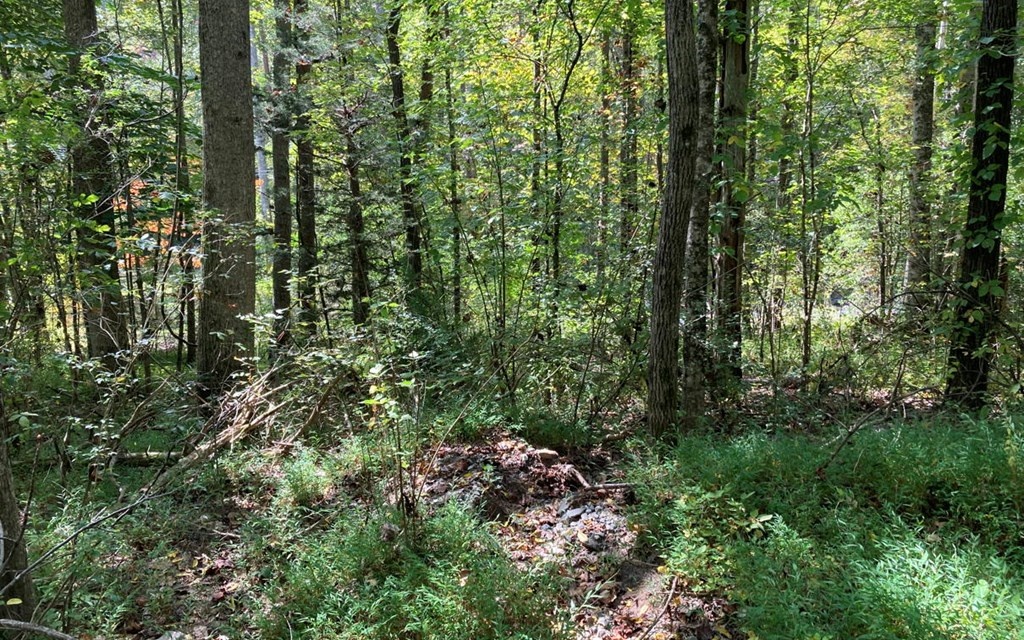 11 Mountain View Trail