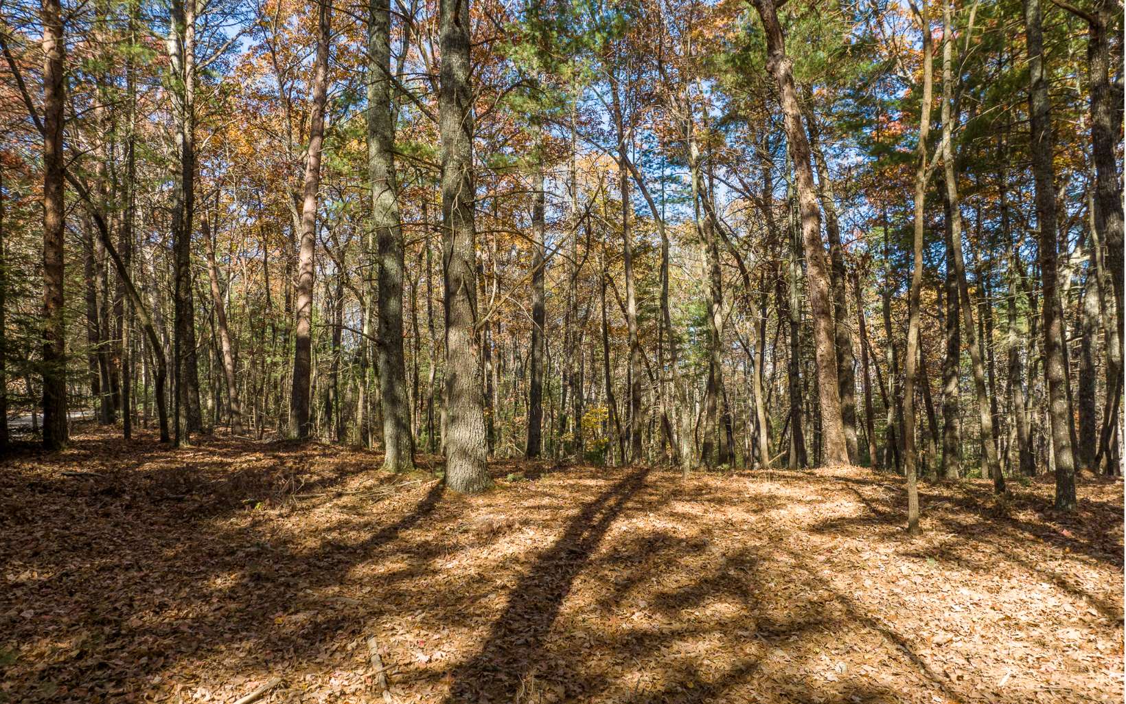 2 TR Old Anderson Creek