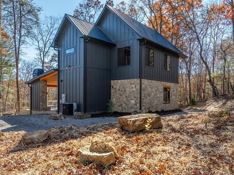 294 Campbell Camp Circle Blue Ridge GA 30513