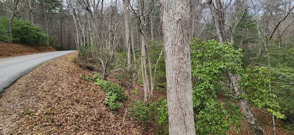 9.95AC Hicks Gap Road