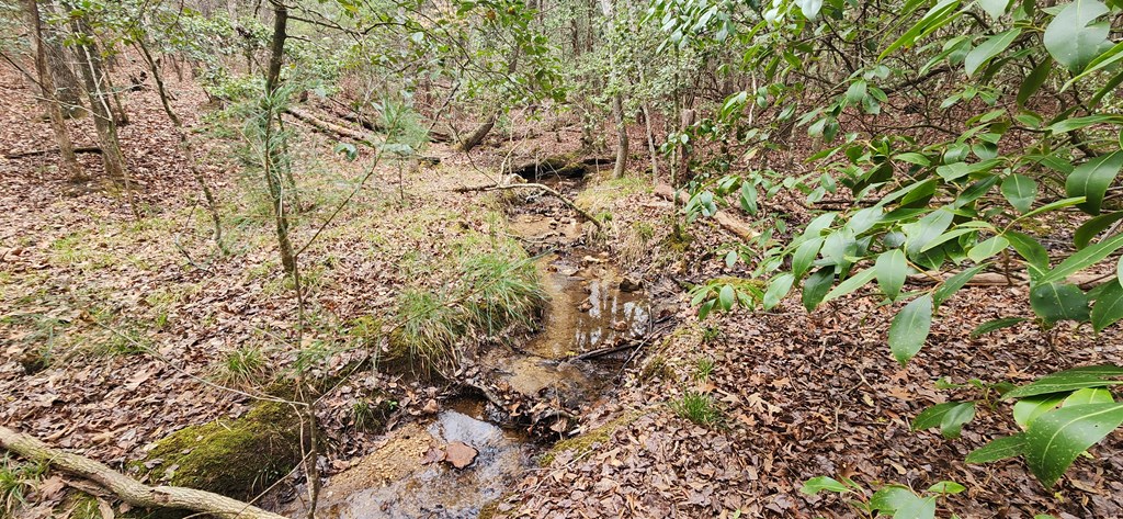 9.95AC Hicks Gap Road