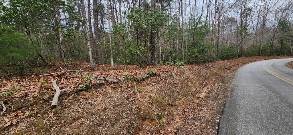 9.95AC Hicks Gap Road