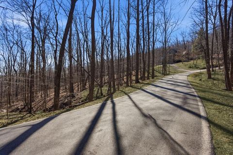 253 Windflower Drive Big Canoe GA 30143