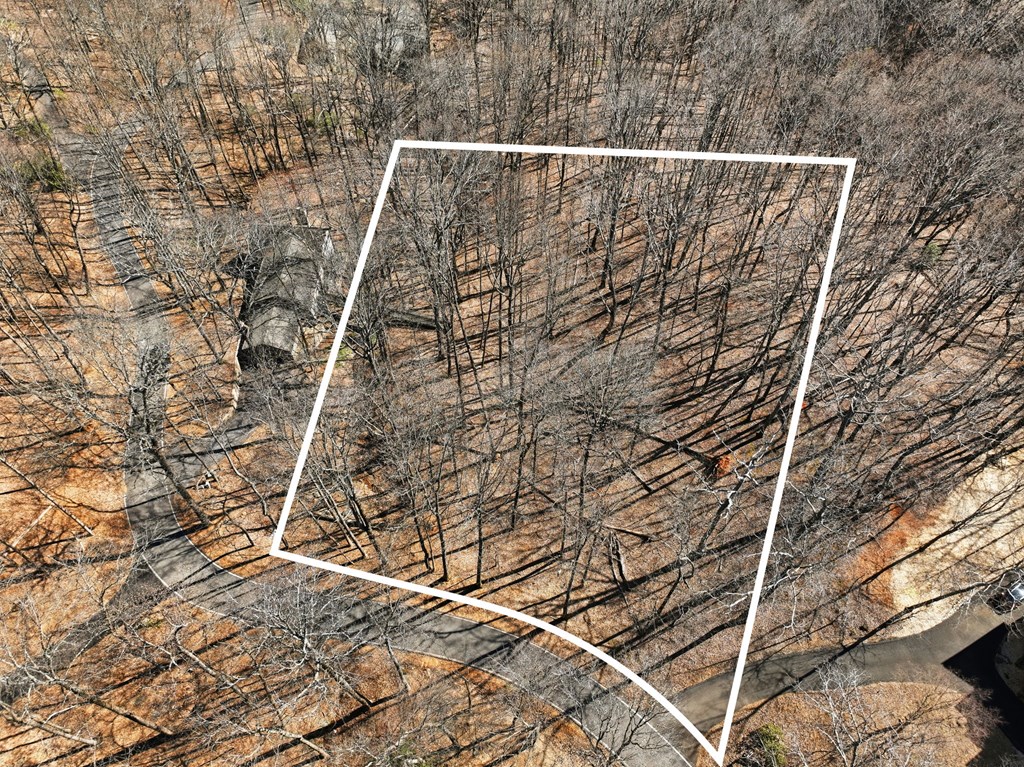 253 Windflower Drive