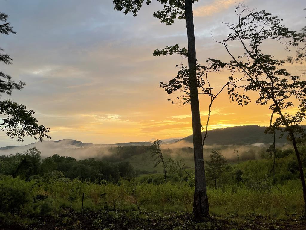 TBD Deer Haven Trail