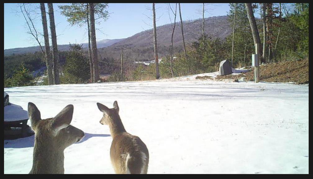 TBD Deer Haven Trail