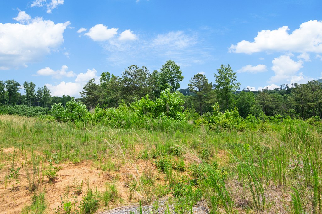 Talking Rock, Georgia 30175, United States, ,Land,Active,54778