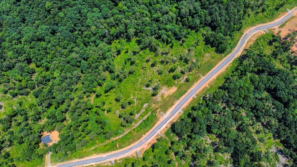 Talking Rock, Georgia 30175, United States, ,Land,Active,54778