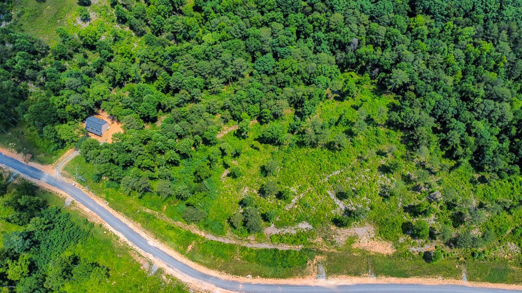 Talking Rock, Georgia 30175, United States, ,Land,Active,54778