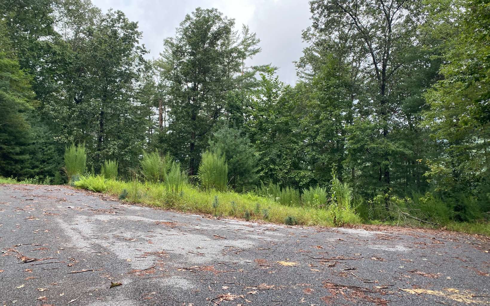 Lot 55 Laurel Trail