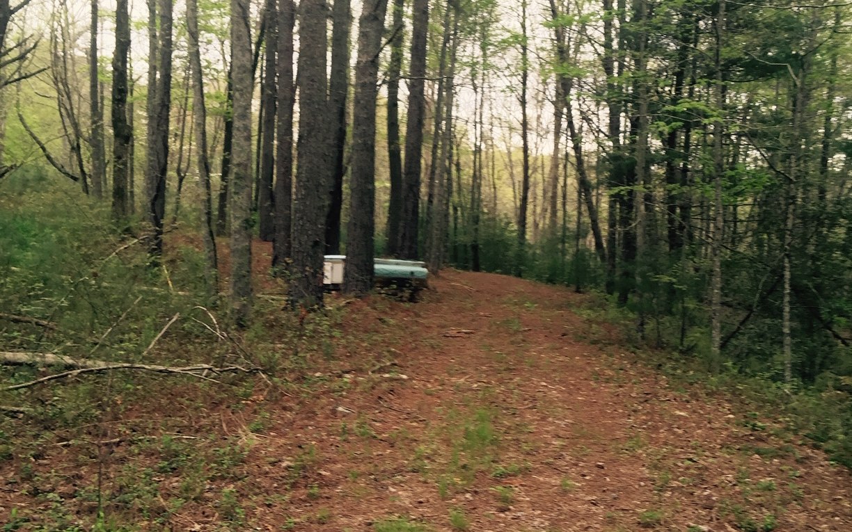 116 Acre Mountain View Road