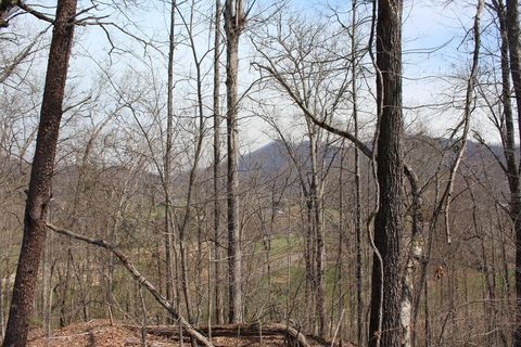 Lot 83A Licklog Ridge Hayesville NC 28904