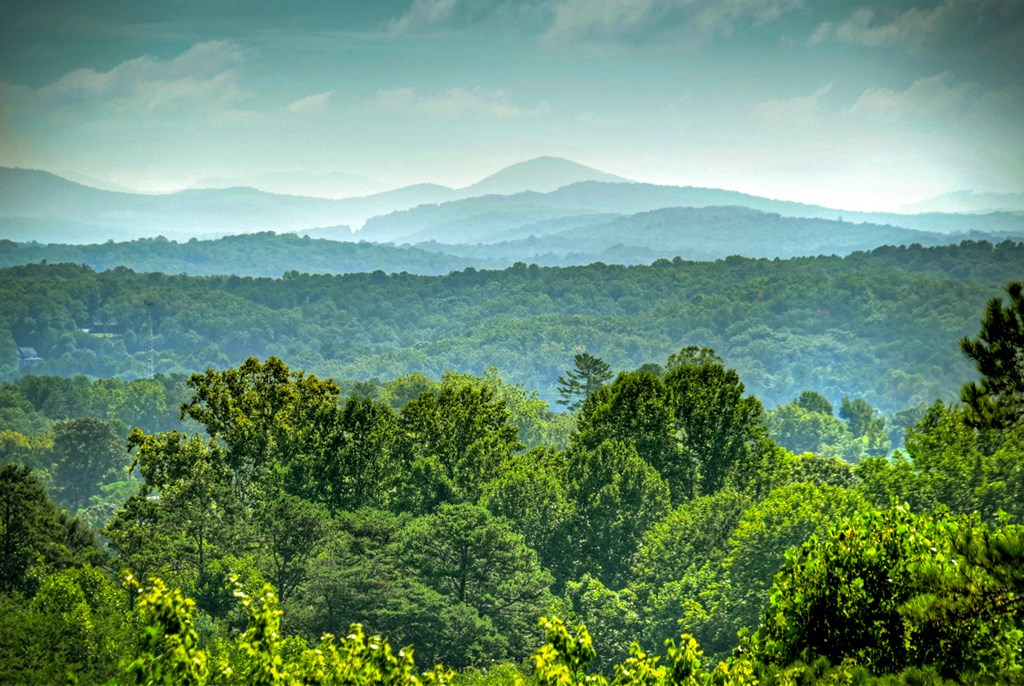222 Mountain Hideaway Lane
