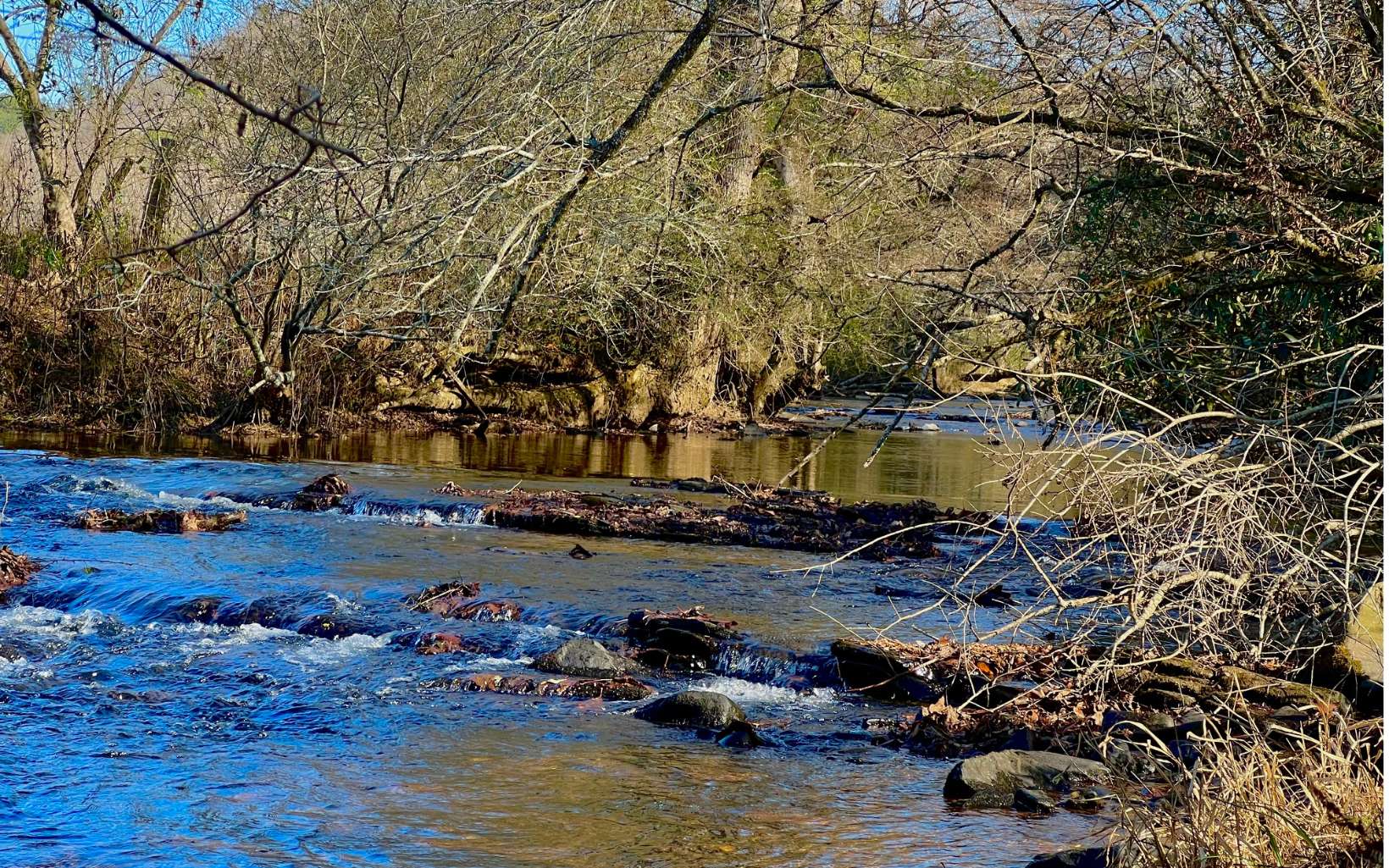 LOT 5 River Escape Trail