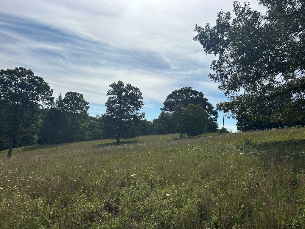 8ac Jimmy Nicholson Road