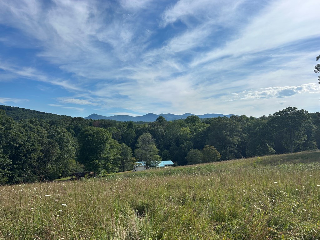 8ac Jimmy Nicholson Road