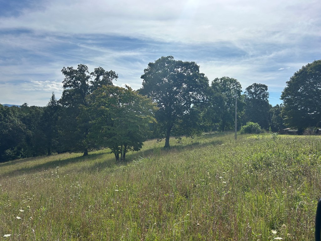 8ac Jimmy Nicholson Road