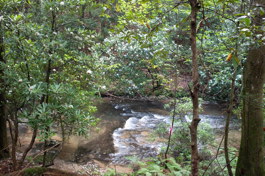 Lot 3 Big Creek