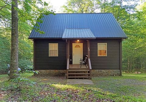 A home in Blue Ridge