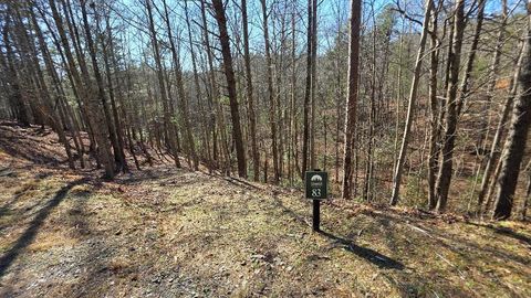 83R Cedar Road Ellijay GA 30540