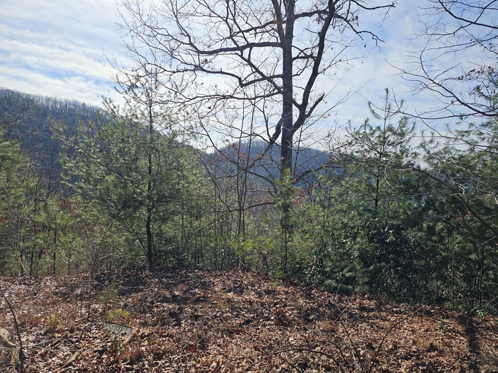 51 Kudzu Creek Trail