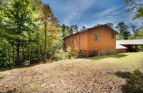 A home in Mineral Bluff