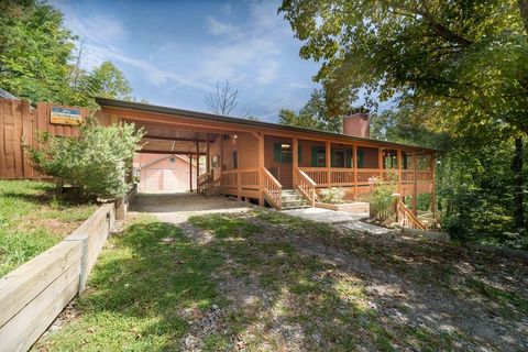 A home in Mineral Bluff