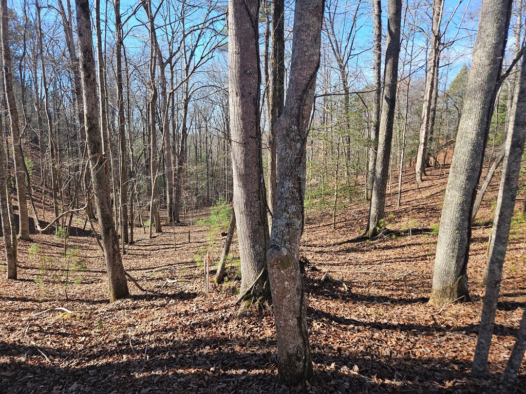 Lt 1405 Malory Circle