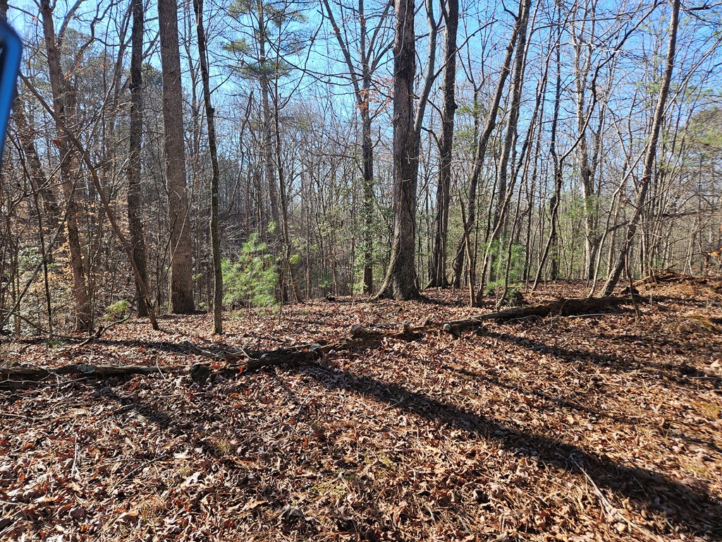 Lt 1405 Malory Circle