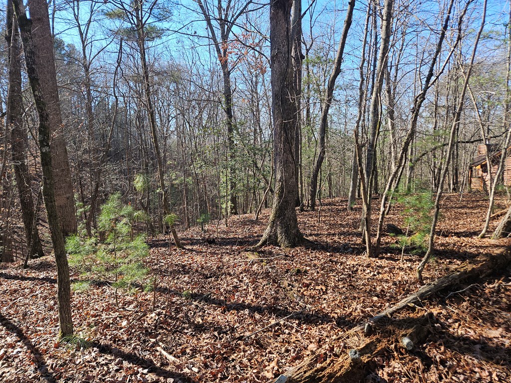 Lt 1405 Malory Circle