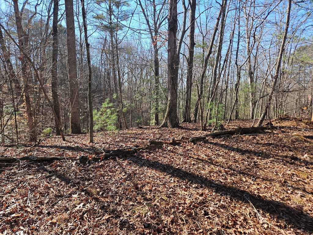 Lt 1405 Malory Circle