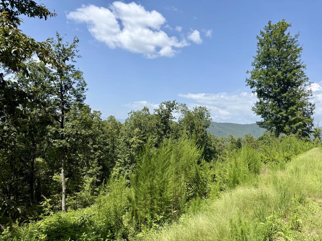 Lot 34 Grand Laurel