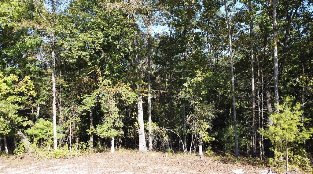 1719 Rebekah Ridge Road