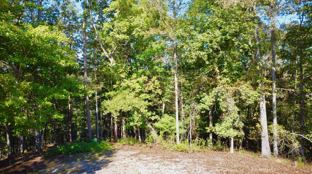 1719 Rebekah Ridge Road