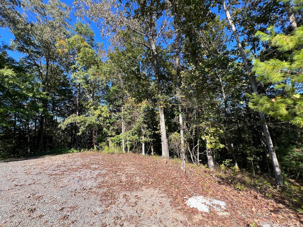 1719 Rebekah Ridge Road