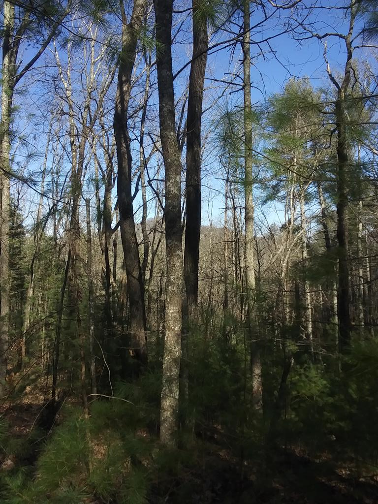 NA Rock Creek Road