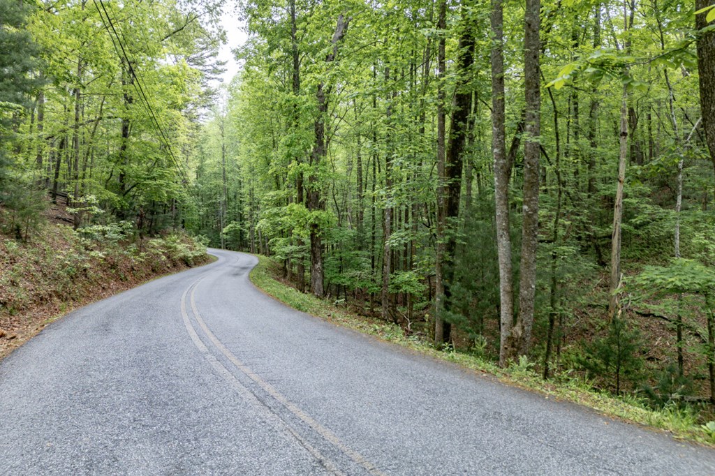 Lot 17 Lower Gap Road